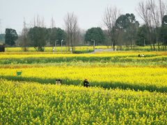 -中国天府农业博览园