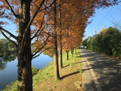 -贵阳市花溪国家城市湿地公园