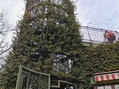 -三鹰之森吉卜力美术馆