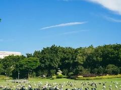 -白鹭洲公园