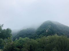 -牛背梁国家森林公园