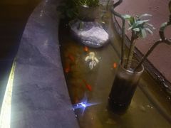 -金水养生(华新店)