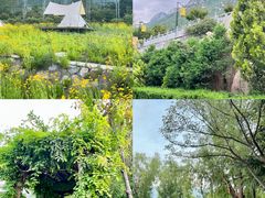 -禅宗少林·音乐大典