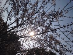 iphone_upload_pic-三锐体育游泳中心