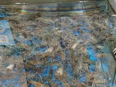 -盒马鲜生(联投广场店)
