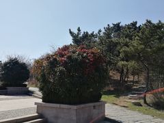 -浮山香苑