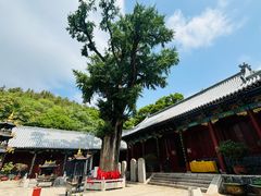 -青檀寺景区
