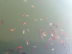 -白鹭湾湿地公园