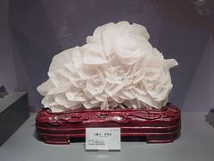 -湖南省地质博物馆