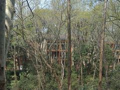 -拾溪餐厅·包厢(杭州千禧度假酒店)