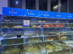 -蟹老板的海鲜