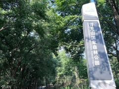 -青龙山国家森林公园