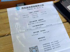 -西双版纳原始森林公园