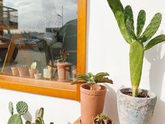 -AHAVA·Fang Baking Studio