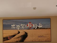 -杨厨的田园饭店(长城路店)