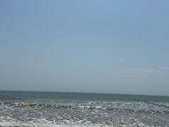 -日照海滨国家森林公园