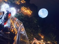 -巴倒烫陆派火锅山庄(南山总店)