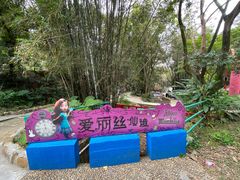 -南丹山森林王国