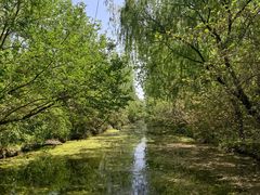 -溱湖国家湿地公园