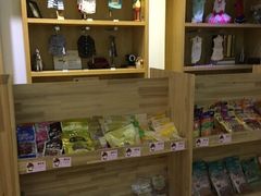 -诺比宠物医院心脏内科·泌尿肾内外科·骨科急重症