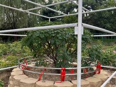 -太阳宫公园