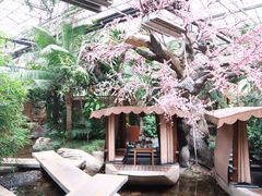 -世外桃源农庄·德清土菜(兴康南路店)