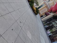 -石家庄极地海洋世界
