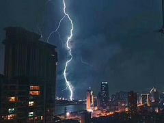 -猫咪博物馆(顶澳仔猫街店)