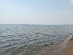 -秦皇岛新澳海底世界