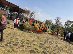 -上海长兴岛郊野公园