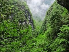 -鹿院坪生态旅游景区