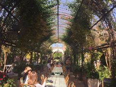 -The Grounds of Alexandria