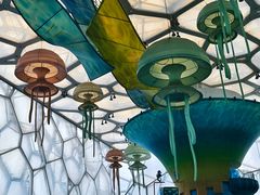 -水立方嬉水乐园