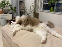 -宜家家居(高新商场店)