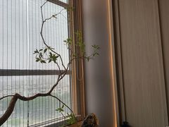 -臻品足道(佛祖岭店)