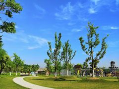 -上海长兴岛郊野公园