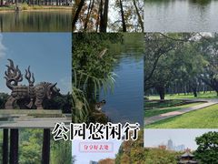 -四海公园(南山区)