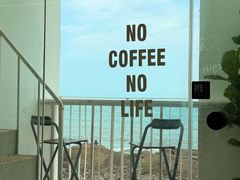 -致璞ZHIPU Rolling on(青岛极地店)