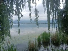 -西昌邛海湿地