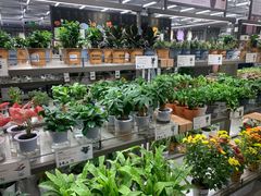 -鹿岛会员店(熙地港店)