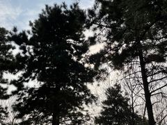 -鹦鹉寺公园
