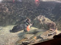 -太平洋海底世界