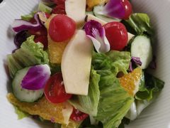 -河畔春天时尚餐厅