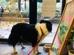 -花生咖啡 peanut coffee