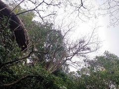 -西安国际创新人才交流中心•药浴温泉