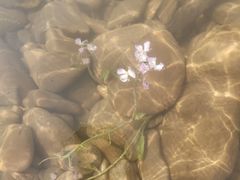 -金海湾滨江公园