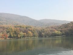 -紫霞湖公园