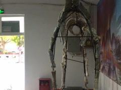 -河北村民俗体验园