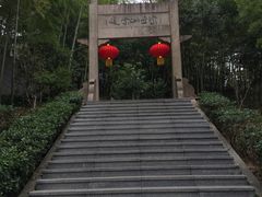 -紫金山山顶公园