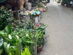 -循礼门鲜花花市(武汉循礼门店)